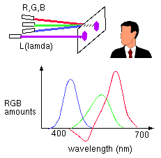 Computer Matching Programs