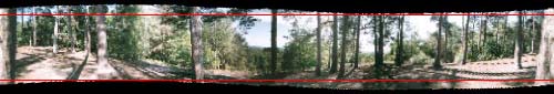 Panoramic image of a woodland scene shot without keeping the camera level, with additional lines showing how much of the image will be lost after cropping